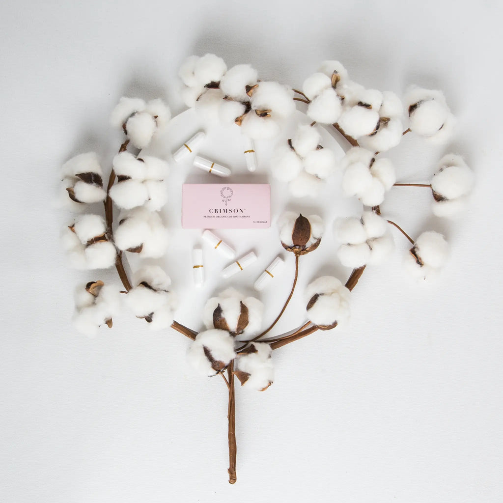 Regular Organic Cotton Tampons - 6 Month Supply
